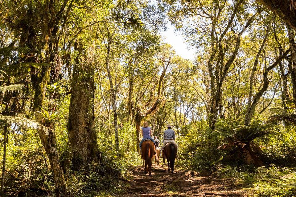 hotel fazenda pampas brasil