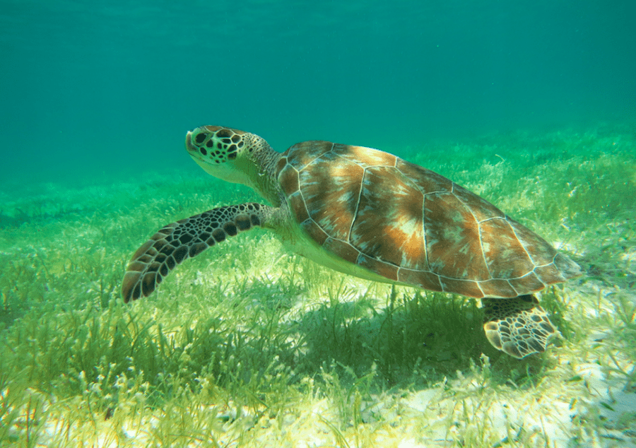 cancun pontos turísticos