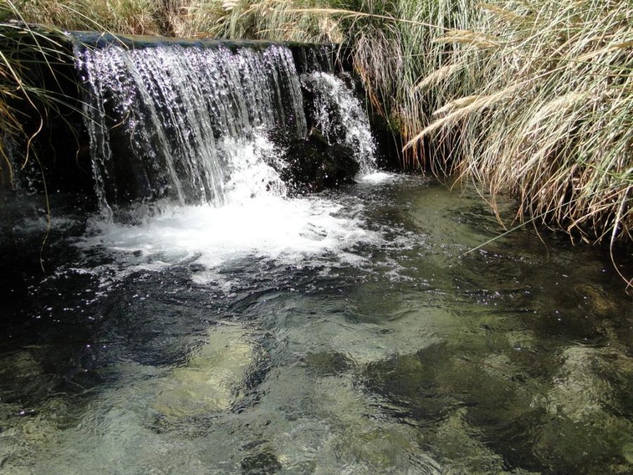 passeios no deserto do atacama, termas de puritama