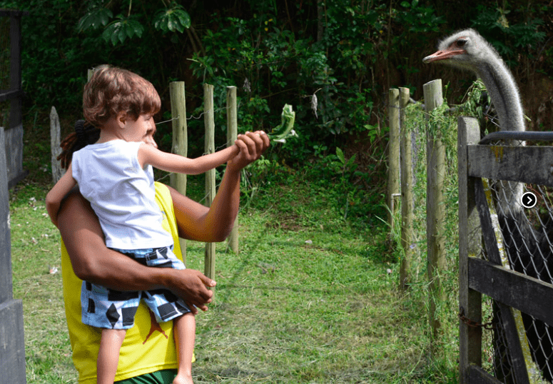 Hotel Fazenda Cascatinha, Piraí RJ