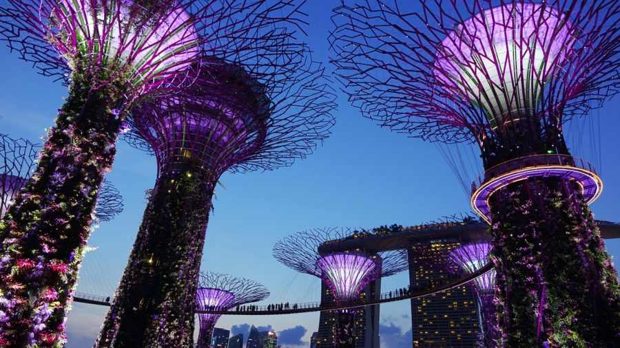 gardens by the bay Singapura jardins da baía