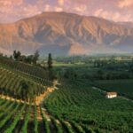 Mendoza, Argentina: o que fazer e dicas para visitar a região dos vinhos