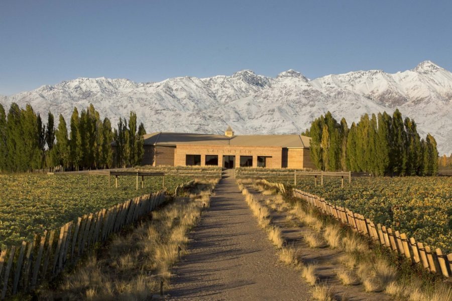 Mendoza Argentina O Que Fazer E Dicas Para Visitar A Regi O Dos   Bodega Salentein Mendoza 