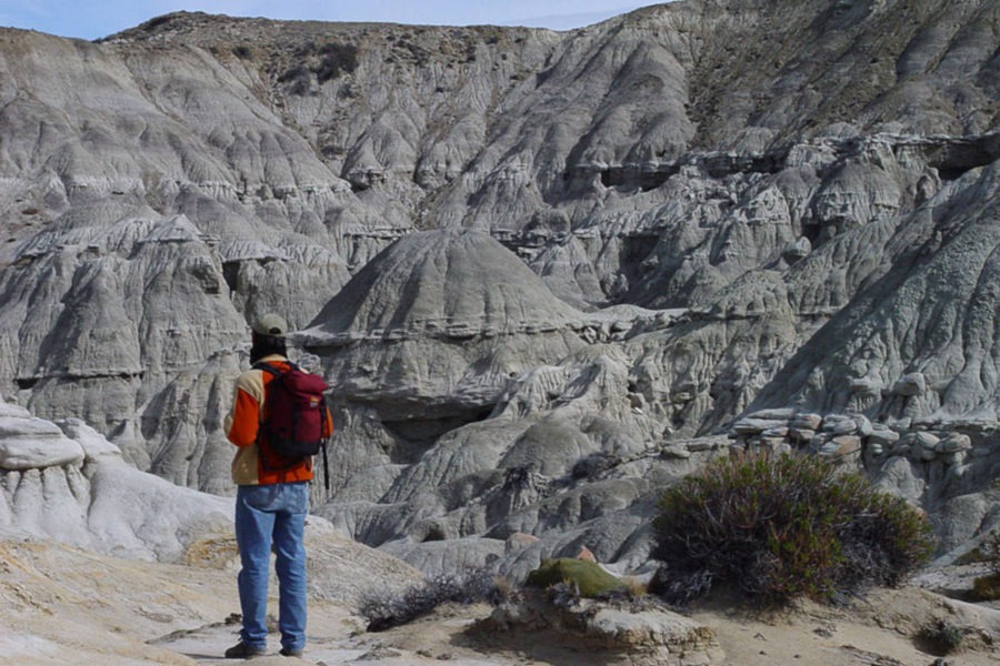 floresta la leona o que fazer em el calafate argentina