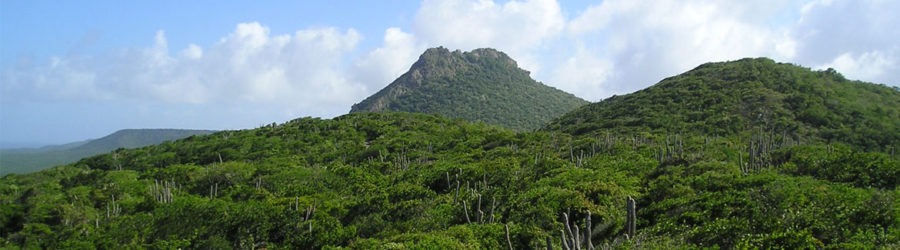 christoffelpark curaçao