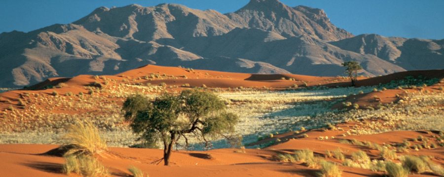 kalahari áfrica do sul